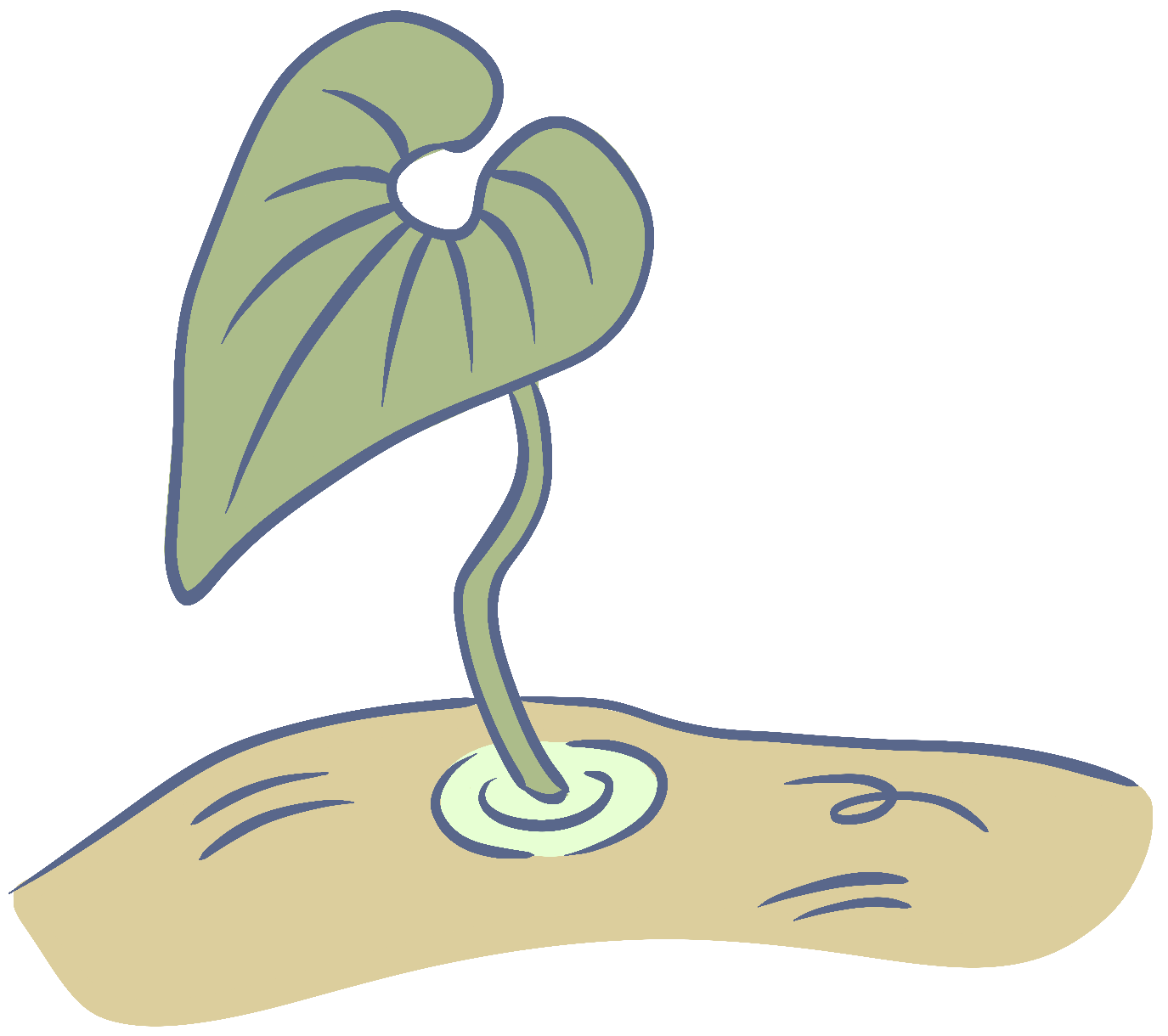 Little Creek School, Bilingual School